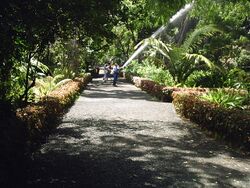 Jardín Botánico en Puerto de la Cruz