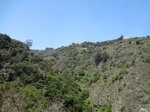 Reserva Natural Integral de Barranco Oscuro - Gran Canaria.jpg