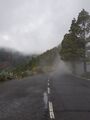 Foggy Road at Caldera de Los Marteles.jpg