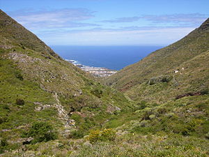 Barranco de la Goleta (Anaga, Tenerife).JPG