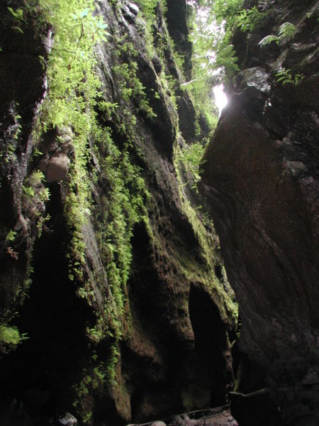 Archivo:Los Tilos PIC00004.jpg