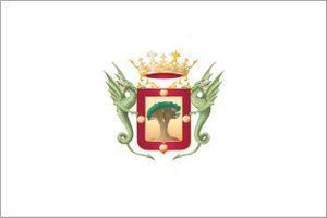 Bandera Oficial de la Villa de La Orotava.JPG