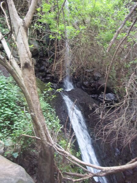 Archivo:Bco. de Los Cernícalos.jpg