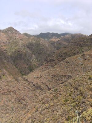 Barranco de Ijuana (Tenerife).JPG