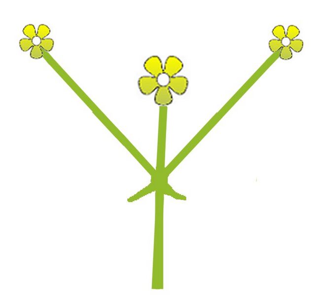 Archivo:Enkelvoudig gevorkt bijscherm.jpg