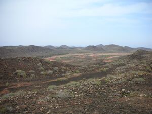 Lobos Island interior.jpg