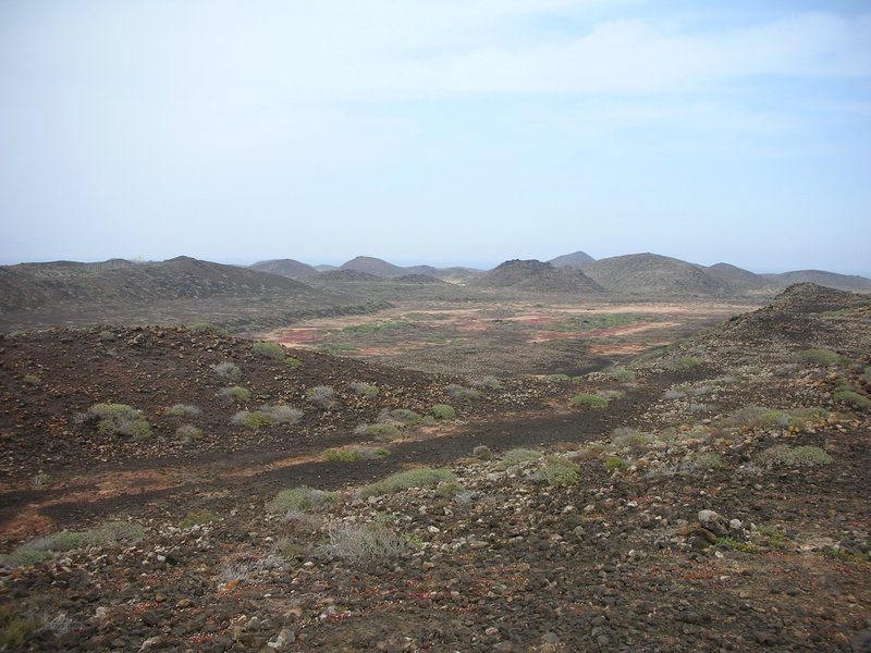 Archivo:Lobos Island interior.jpg