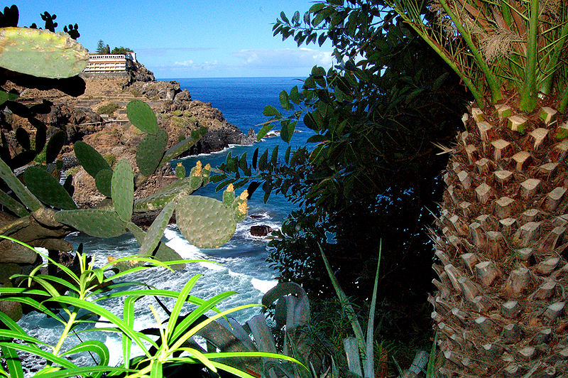 Archivo:EL BURGADO TENERIFE.jpg