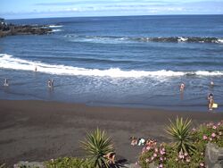 PICT0025.JPG