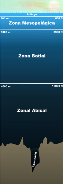 Archivo:Pelagiczone es.png