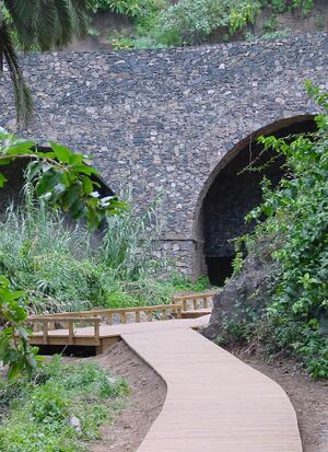 Madre del Agua, Los Realejos.JPG