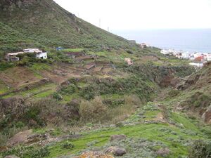 Almáciga (Tenerife).JPG