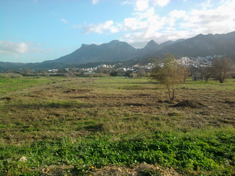 Archivo:Tetouan 02.jpg