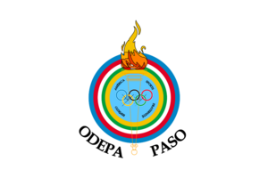Flag of PASO.svg