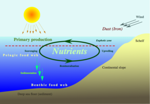 Nutrient-cycle hg.png