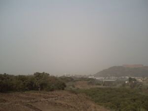 Lascandias calima3.JPG