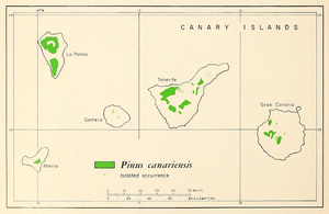 Mapa de distribución del pino canario por las islas.