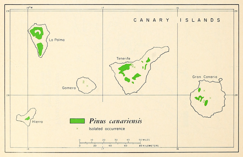Archivo:CL-24b Pinus canariensis range map.png