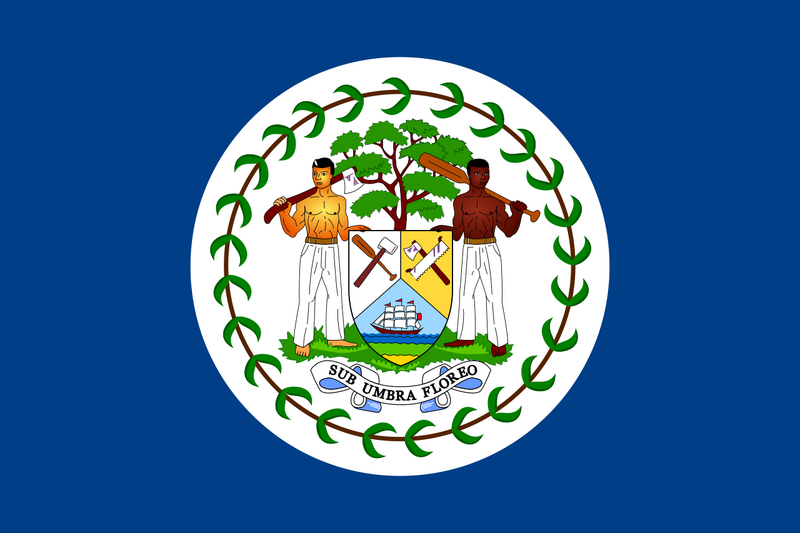 Archivo:Flag of Belize (1950-1981).png
