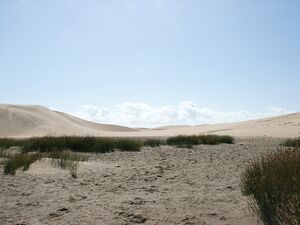 Maspalomas Gran Canaria2.jpg