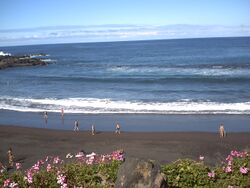 PICT0038.JPG