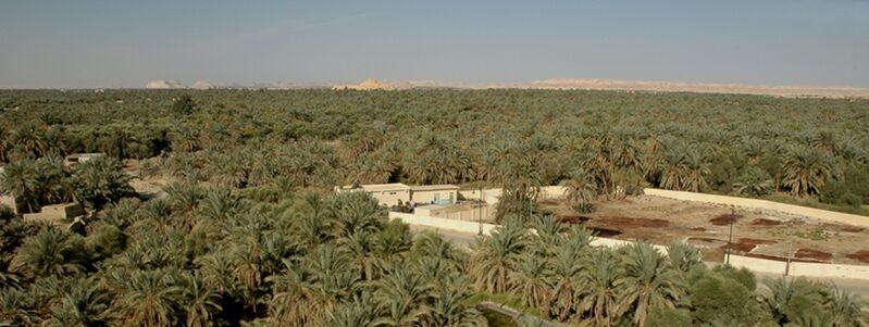 Archivo:Oase Siwa.jpg