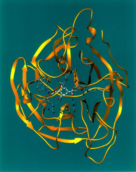 Archivo:Neuraminidase Ribbon Diagram.jpg