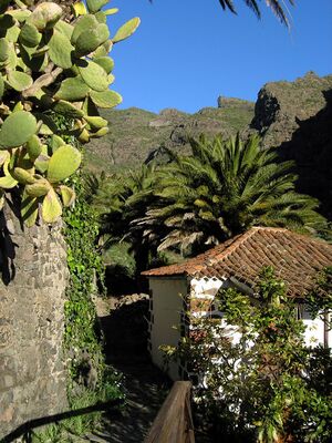 Masca Impression.jpg