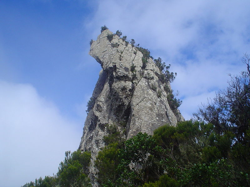 Archivo:Roque Anambro (Anaga).jpg