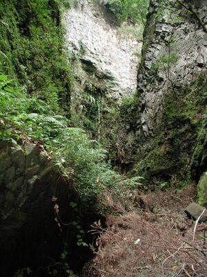 Los Tilos PIC00005.JPG