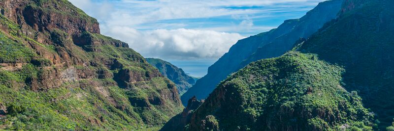 Archivo:Barranco de Guayadeque 2016 06.jpg