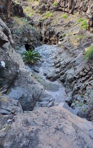 Biosphere Reserve La Gomera 24.jpg