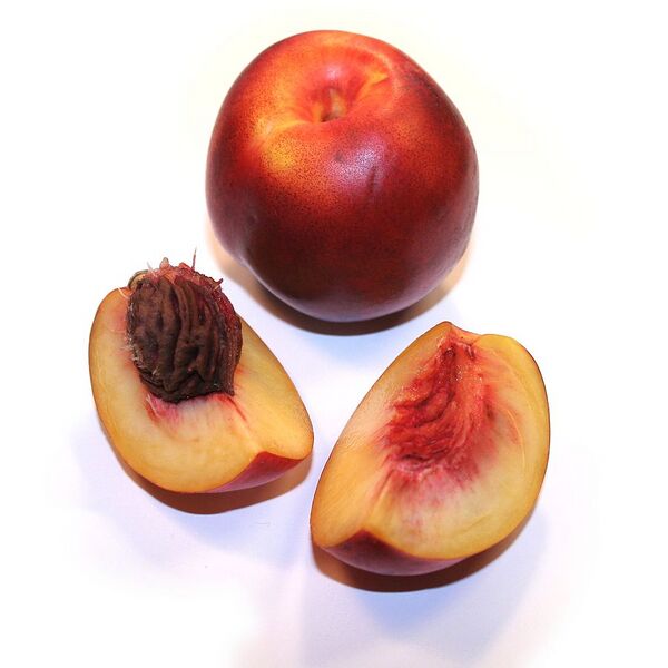 Archivo:Nectarine.jpg