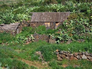 Santo Domingo z05.jpg