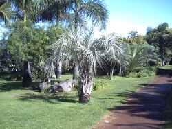 PICT0047.JPG