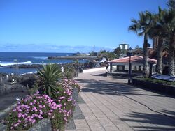 PICT0036.JPG