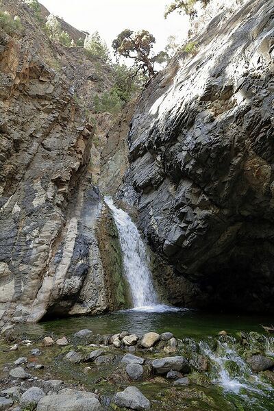 Archivo:I08 820 Río Almendro amargo.jpg