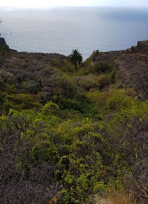 Barranco de Acentejo.jpg