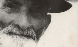 Panchito (la mirada).jpg