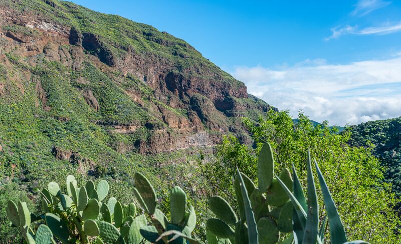 Archivo:Barranco de Guayadeque 2016 05.jpg