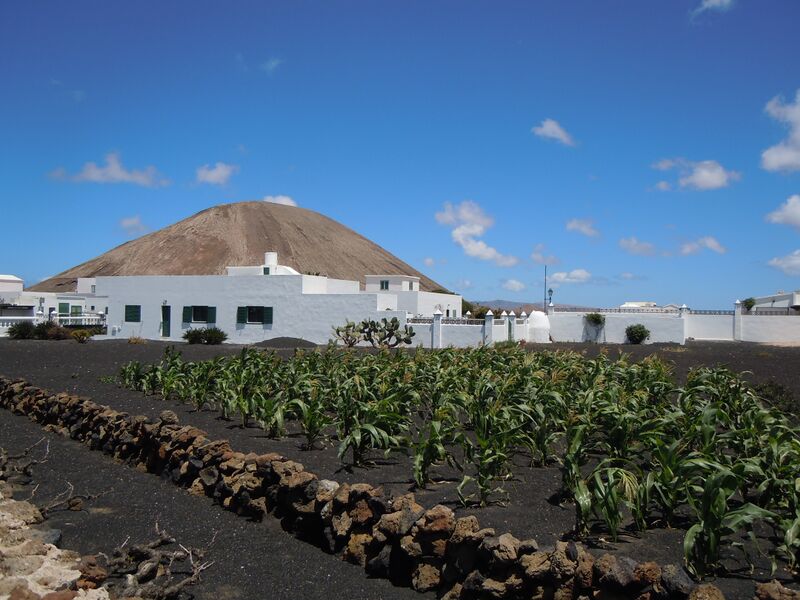 Archivo:Mancha Blanca Montana Tinache.jpg