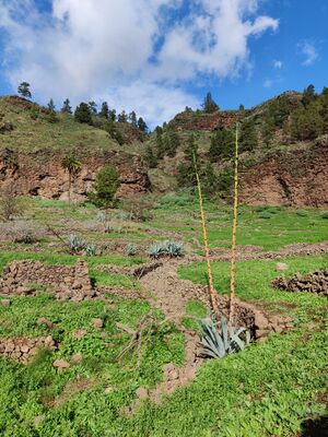 Cercados de El Hoyo.jpg