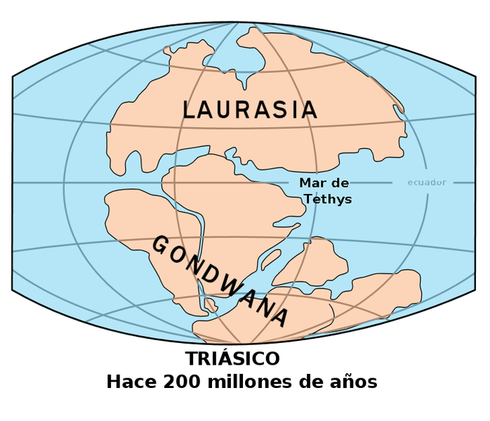Archivo:Es-Laurasia-Gondwana.png