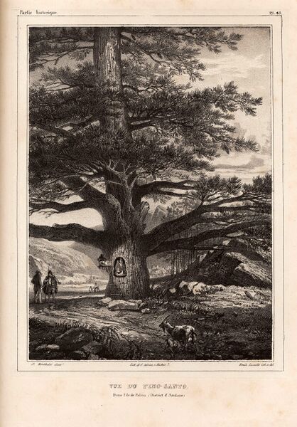 Archivo:Sabino de Berthelot 1836.jpg