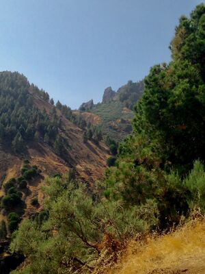 Hoya del Gamonal.jpg