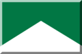 600px verde con triangolo bianco.PNG