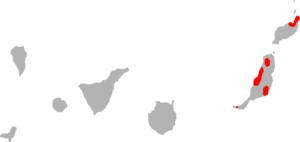 Chalcides somonyi range map.png