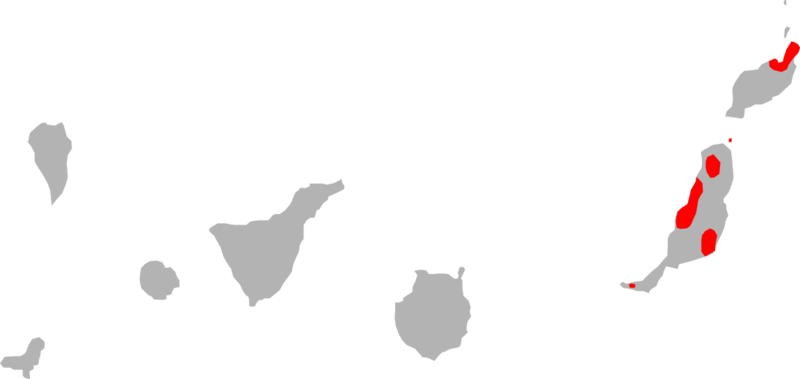 Archivo:Chalcides somonyi range map.png
