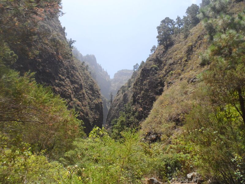 Archivo:Barranco de Añavingo-Arafo.JPG