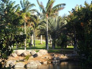 Palmetum Tenerife zona Madagascar..JPG